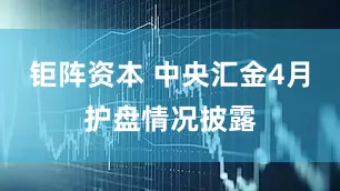 钜阵资本 中央汇金4月护盘情况披露