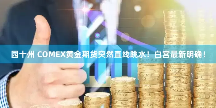 园十州 COMEX黄金期货突然直线跳水！白宫最新明确！