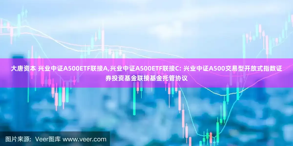 大唐资本 兴业中证A500ETF联接A,兴业中证A500ETF联接C: 兴业中证A500交易型开放式指数证券投资基金联接基金托管协议