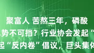 聚富人 苦熬三年,磷酸铁锂涨价已势不可挡?行业协会发起“反内卷”倡议,巨头集体涨加工费