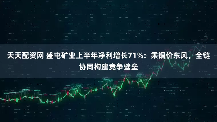 天天配资网 盛屯矿业上半年净利增长71%：乘铜价东风，全链协同构建竞争壁垒